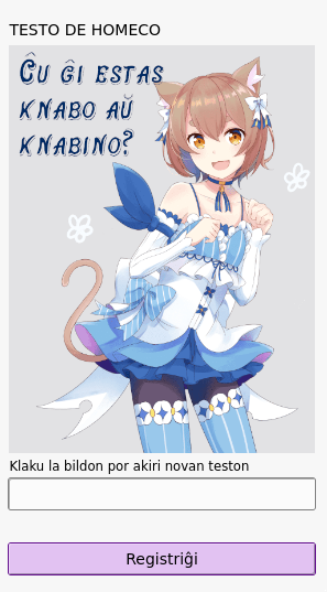 A screenshot of a CAPTCHA challenge on the registration page of a Pleroma server. It is a picture of a feminine anime character, Ferris from Re:Zero, with the question in Esperanto: “Ĉu ĝi estas knabo aŭ knabino?”